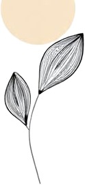 a drawing of a flower with a white background.jpg